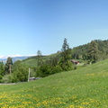 panorama full