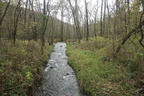 Beaver Creek Valley